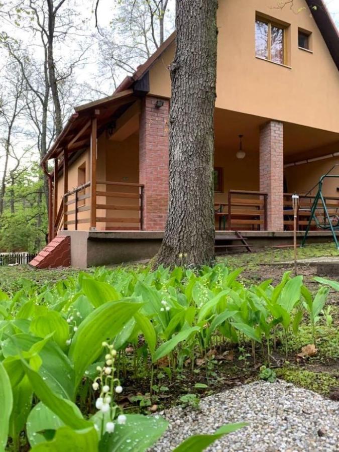 Villa Gyoengyvirag Vendeghaz Noszvaj Exterior foto